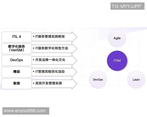 杭州排球队运营革新探索:从传统模式到现代管理的转型之路
