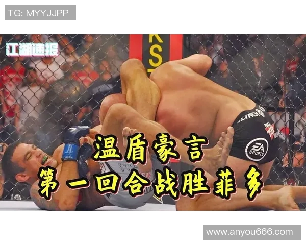 UFC温盾对决菲多精彩回顾与赛后分析揭示拳坛新格局