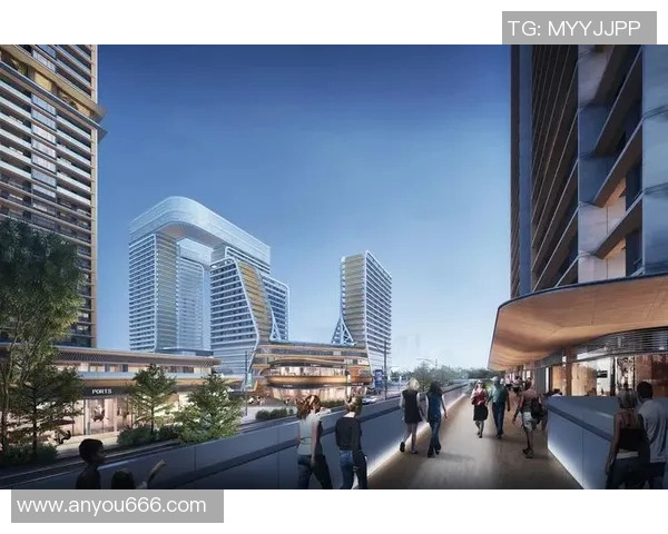 里耶卡与社会的碰撞：探索城市文化与社区发展的新视角