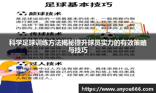 今年会官网
